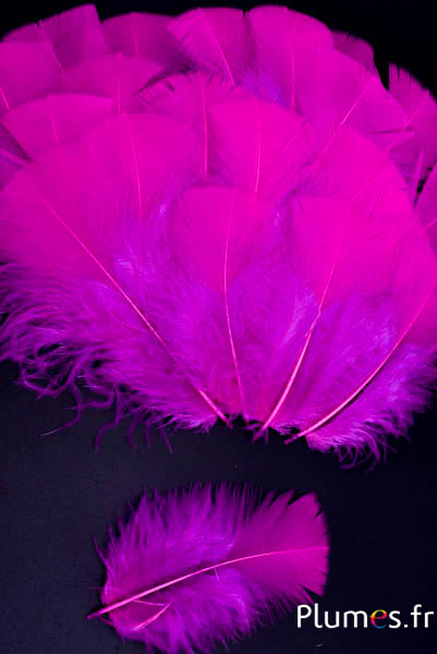 Tacchina - 6-8 cm - fucsia